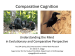 Comparative Psychology