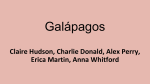 Galapagos