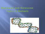 Common Dominant and Recessive Traits in Humans