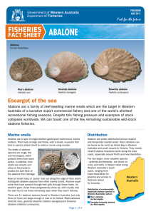 Abalone - Department of Fisheries