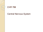 CNS