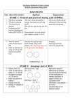 Calculation Policy - Division