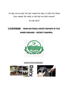 DISTRICT NAROWAL - Livestock Punjab