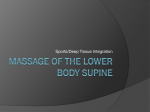 Massage of the front of the legs and abdomen