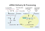 siRNA therapy delivery etc.pptx