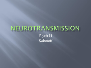 Neurotransmitters