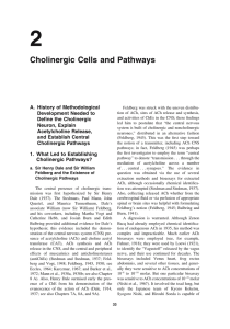 Cholinergic Cells and Pathways