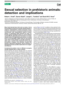 Sexual selection in prehistoric animals: detection
