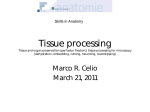 Tissue processing