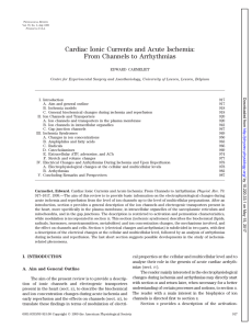 Cardiac Ionic Currents and Acute Ischemia