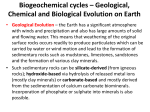 Geological, Chemical and Biological Evolution on