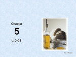 Lipids