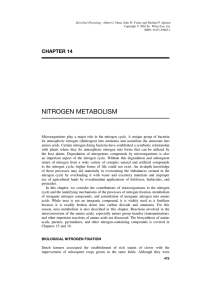 "Nitrogen Metabolism". In: Microbial Physiology (Fourth Edition)