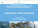 Individual-tree models