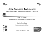 Agile Database Techniques: Data Doesn`t Have To Be A Four