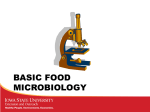 BASIC FOOD MICROBIOLOGY