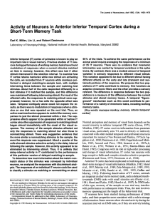 Activity of Neurons in Anterior Inferior Temporal Cortex during a
