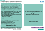 Panton-Valentine Leukocidin (PVL) Staphylococcus aureus