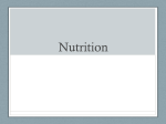 Nutrition 1