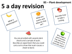 B5 5 a day - Science Revision