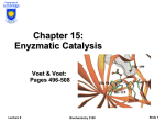 Concerted Acid-Base Catalysis