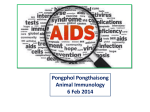 HIV/AIDS Worldwide 38 million