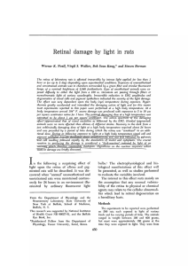 Retinal damage by light in rats