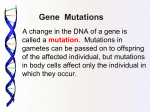 Gene Mutations - WordPress.com