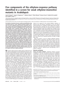 Five components of the ethylene-response pathway