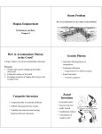 Magma Emplacement Room Problem How to Accommodate Plutons