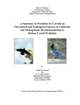A Summary of Predation by Corvids on
