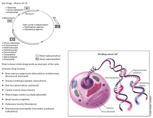 Growth Factor Receptor inhibitors