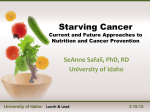 Current and Future Approaches to Nutrition and Cancer Prevention
