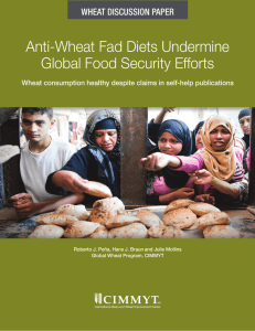 Anti-Wheat Fad Diets Undermine Global Food Security Efforts