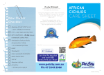 african_care sheet.indd