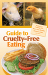 Cruelty-Free Eating Guide to Recipes