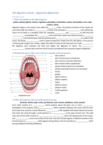 The digestive system – Apparatus digestorius