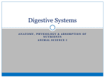 Digestive Systems