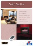 Enviro Gas Fire