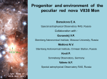 Progenitor and environment of the peculiar red nova V838 Mon