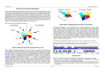 WHAT IS A MAUCHA DIAGRAM?