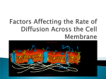 Factors Affecting the Rate of Diffusion Across the Cell Membrane