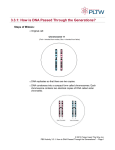 3.3.1: How is DNA Passed Through the Generations?