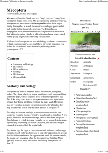 Mecoptera - Wikipedia, the free encyclopedia