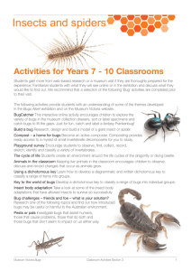 Insects and Spiders - Activities for Years 7-10