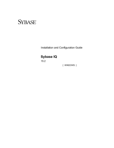 Sybase IQ