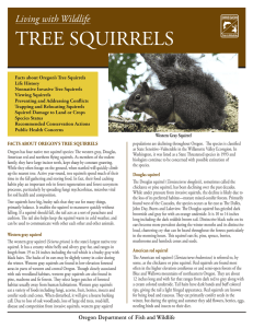 tree squirrels - Oregon Department of Fish and Wildlife