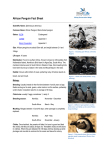 African Penguin Fact Sheet