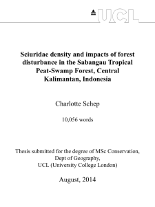 Sciuridae density and impacts of forest disturbance in the Sabangau