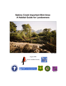 Sabino Creek Important Bird Area